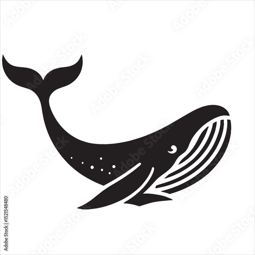 Blue Whale