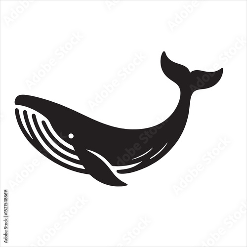 Blue Whale