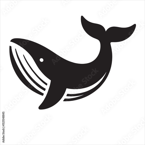 Blue Whale