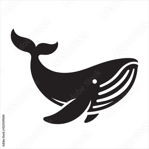 Blue Whale