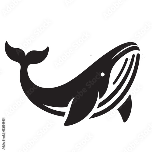 Blue Whale