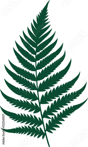 Fern leaves with tropical texture silhouette illustration 