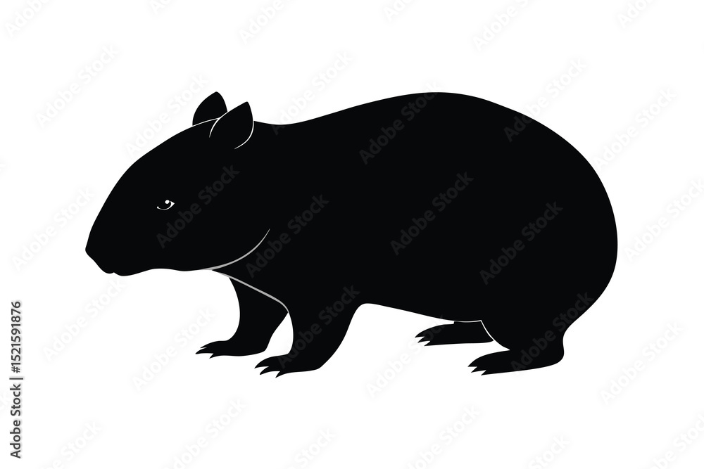 Obraz premium Wombat animal hand drawing vector illustration on white background