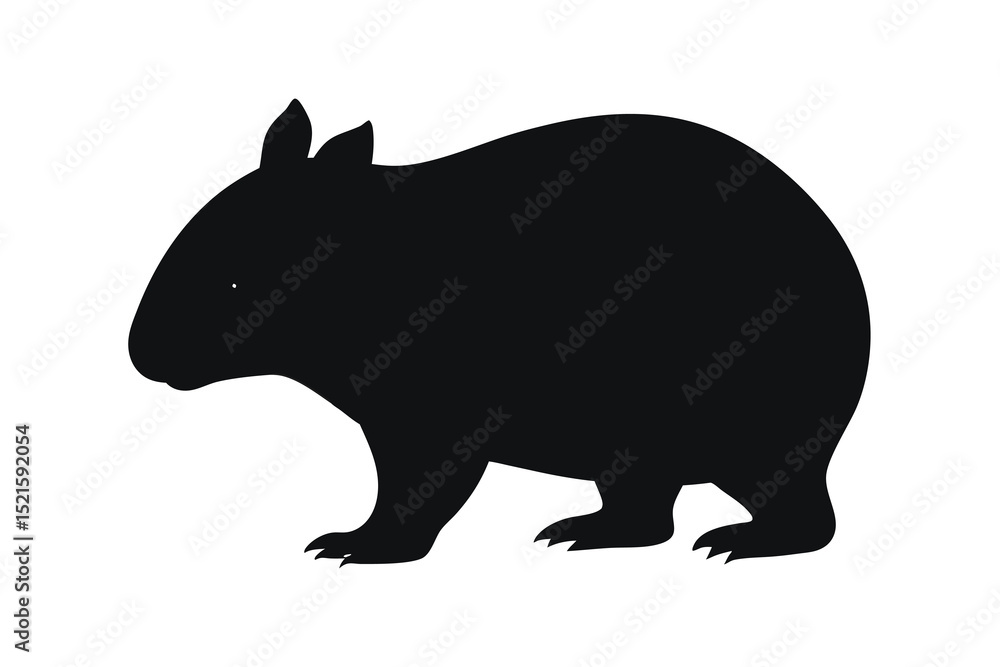 Obraz premium Wombat animal hand drawing vector illustration on white background