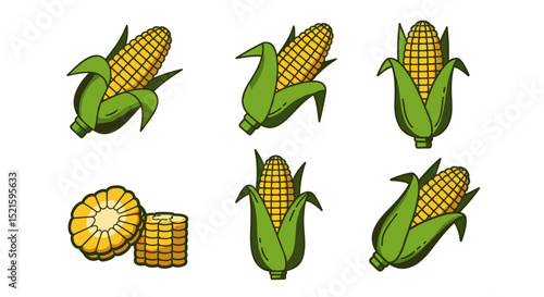 Corn on the cob vector illustration: fresh sweet corn, maize, agriculture, and healthy food concept design