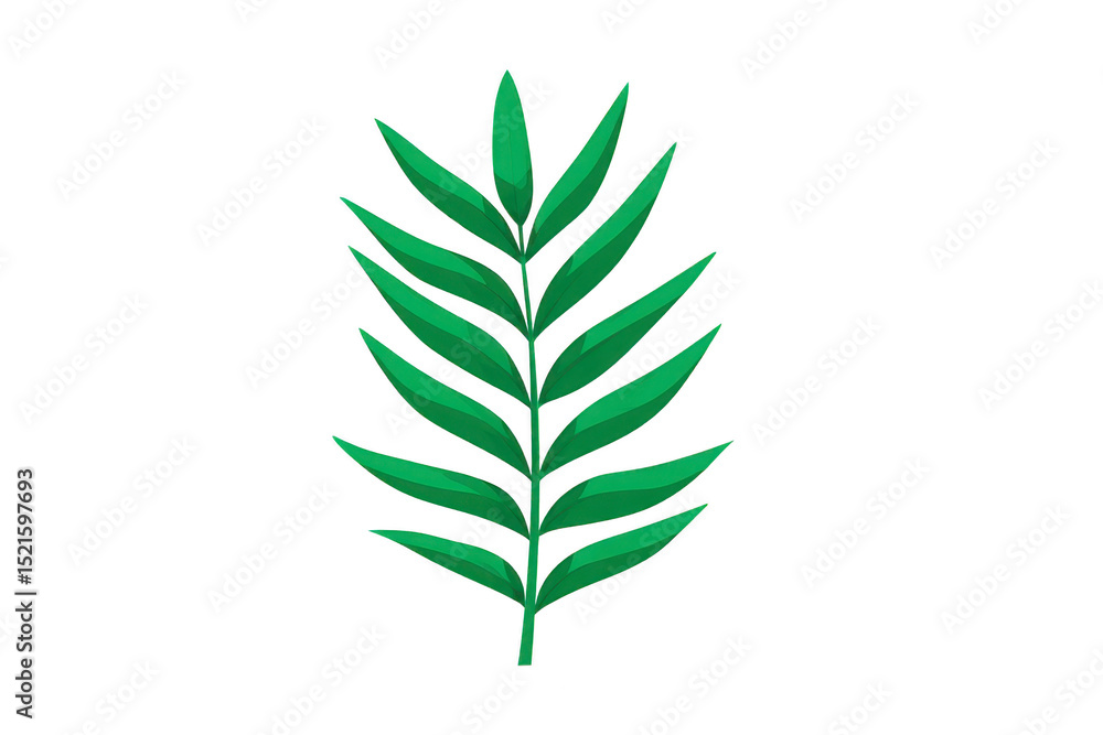 Simple green palm leaf illustration with clean, minimalist design, featuring elongated leaflets arranged symmetrically along central stem Simple green palm leaf illustration with clean, minimalist design, featuring elongated leaflets arranged symmetrically along central stem