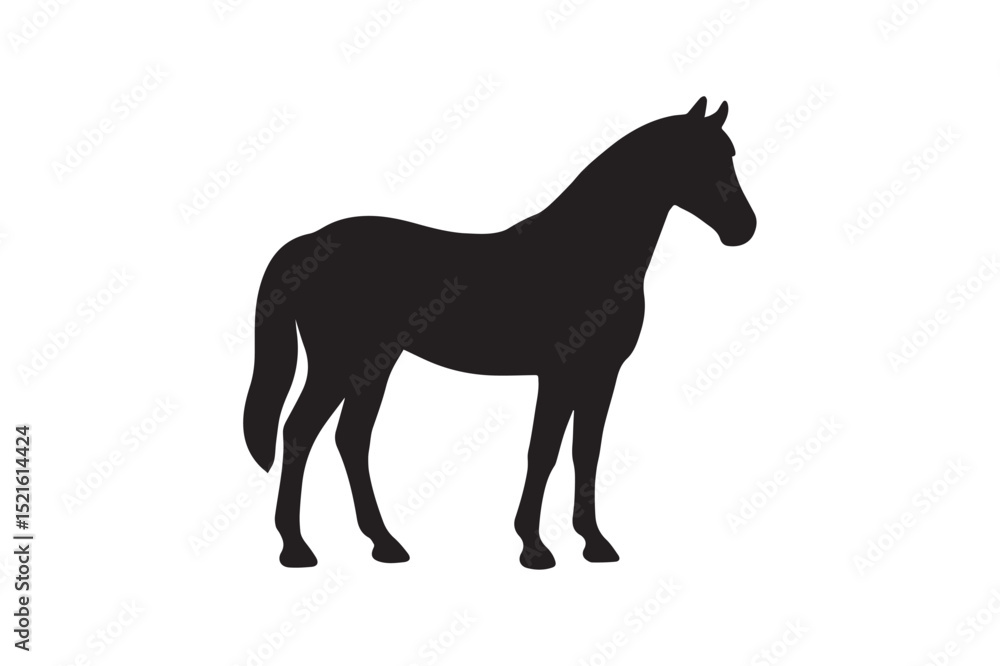 Horse silhouette on white background.01 Horse silhouette on white background.01