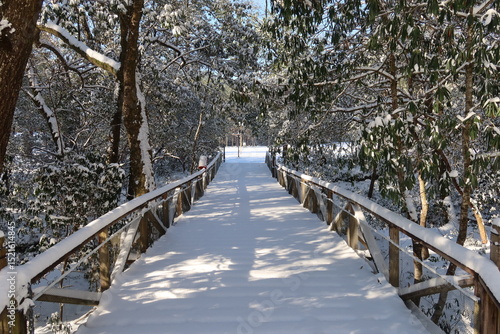 wooden bridge over the river in winter