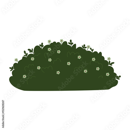 Decorative green plants in the form of garden shrubs, seasonal shrubs. To decorate a park, garden or green hedge.