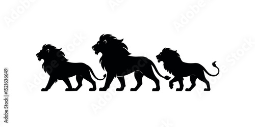 Pride of three lions walking silhouette