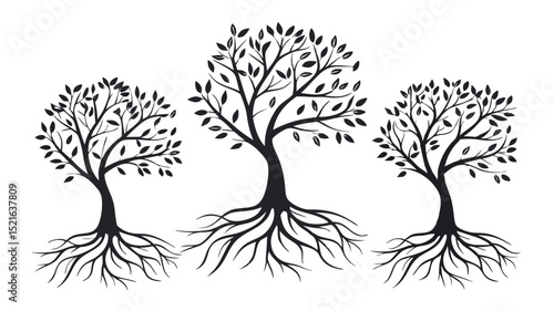 Set of three black tree silhouettes with roots, vector illustration.