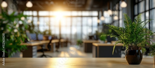 Sunlight Streaming Through a Modern Office Space With Greenery
