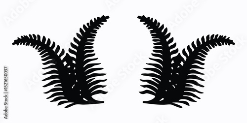 silhouette of a feather