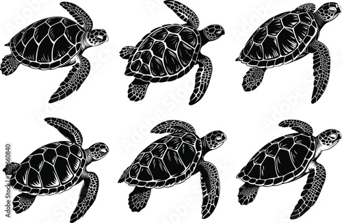 Black and white sea turtle vector illustrations