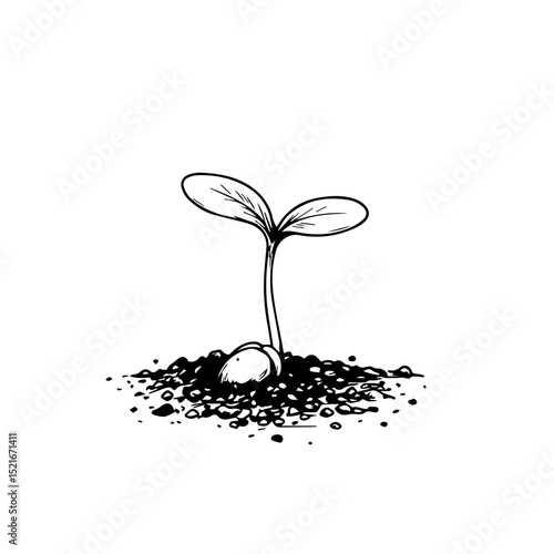 Young sprout seedling growing from soil. Tiny plant with two leaves emerges from earth.  New life concept image perfect for garden or auto accessories design.