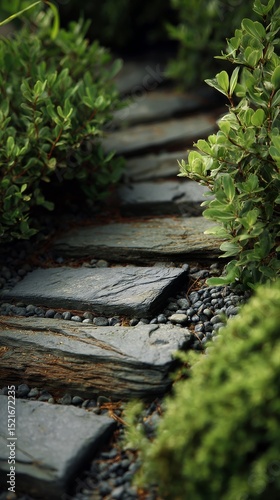 Pathway of Stones Surrounded by Lush Greenery in a Serene Garden Setting.