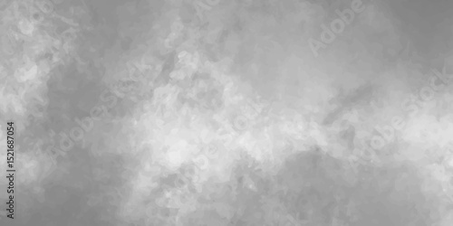 monochrome featuring a hazy sky with soft clouds, showcasing various shades of grayscale image featuring a cloudy sky with varying shades of gray and white formations overhead.