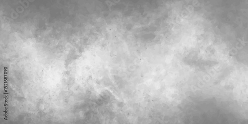 monochrome featuring a hazy sky with soft clouds, showcasing various shades of grayscale image featuring a cloudy sky with varying shades of gray and white formations overhead.
