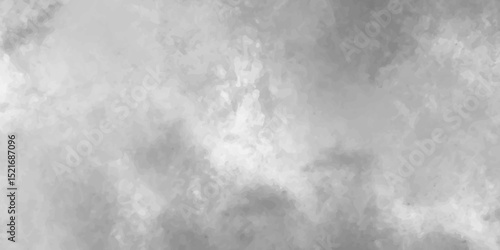 monochrome featuring a hazy sky with soft clouds, showcasing various shades of grayscale image featuring a cloudy sky with varying shades of gray and white formations overhead.