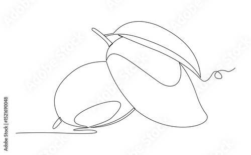 Continuous line drawing of fresh mango fruit tropical summer juicy food dessert. Editable stroke sketch art vector illustration