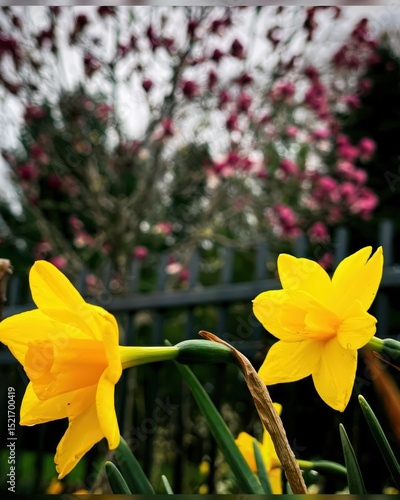 First Signs of Spring in Nature
