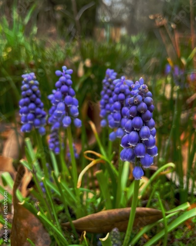 First Signs of Spring in Nature
