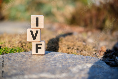 IVT - text on cubes standing on a stone on a natural background