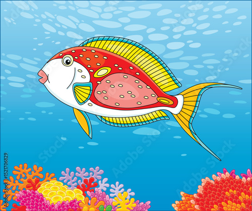 Exotic brightly colored par...