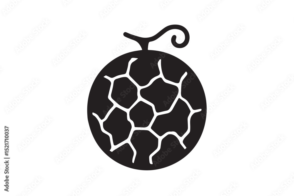 Fototapeta premium Cantaloupe silhouette on white background.01