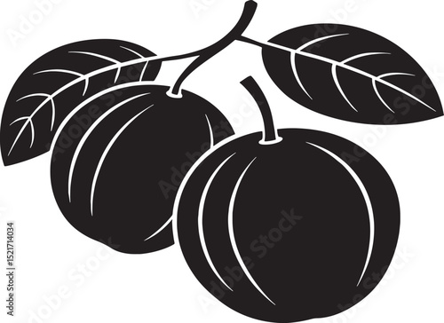 vector illustration of ripe plums