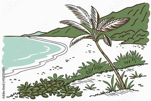 tropical island with palms