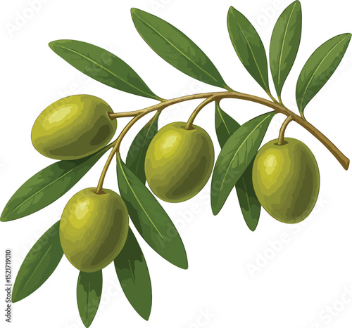 green olives with leaves