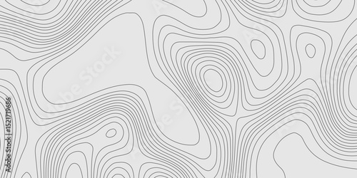 Grey wave paper curved reliefs topographic map contours line geographic abstract background, topographic pattern vintage detailed terrain texture grey contours vector geographic mountain relief grid.