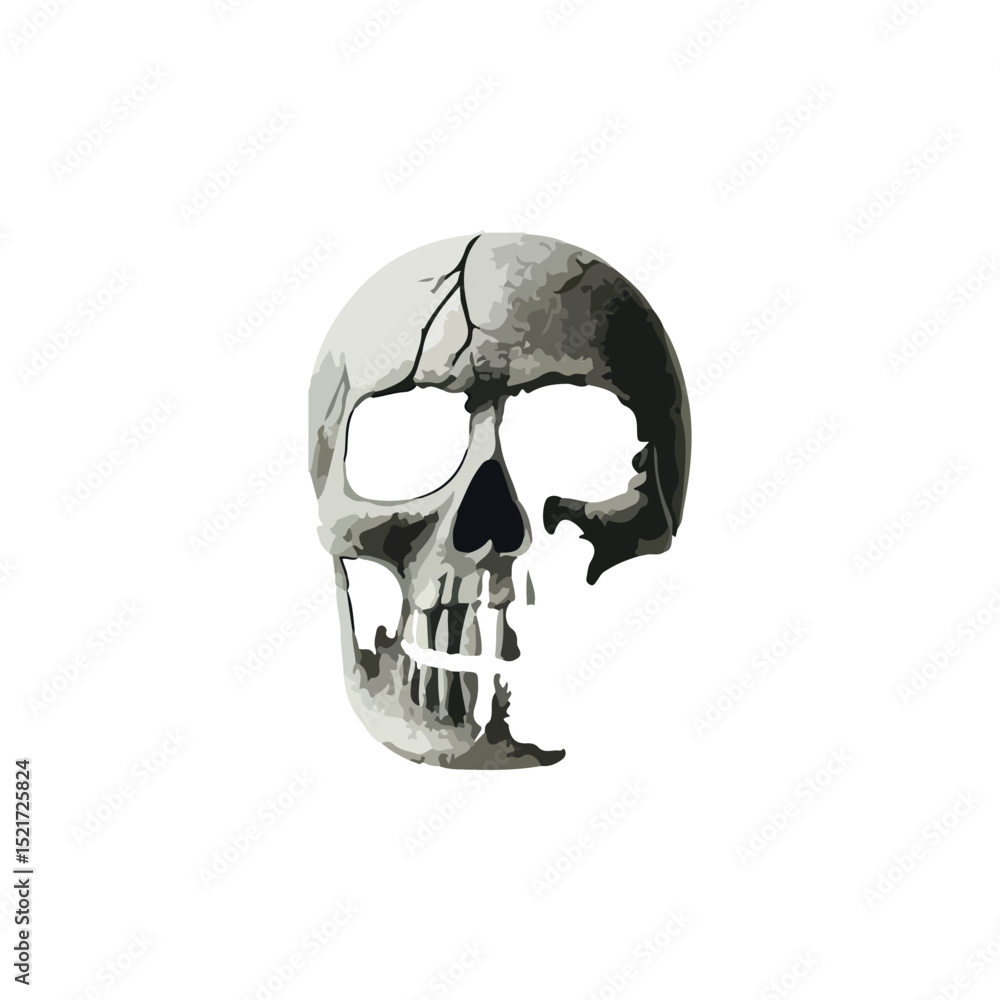 Obraz premium BROKEN SKELETON HEAD VECTORS