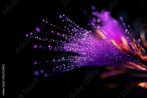 Colorful Light Trails From Fiber Optic Strands Create a Vibrant Display in a ...