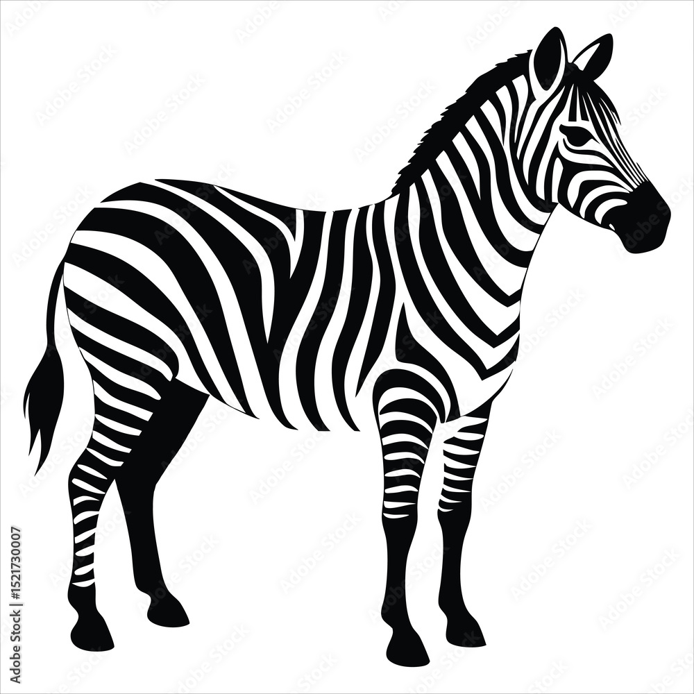 Obraz premium zebra animal silhouette vector