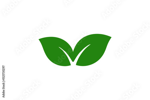 Illustration of two green leaves on a white background