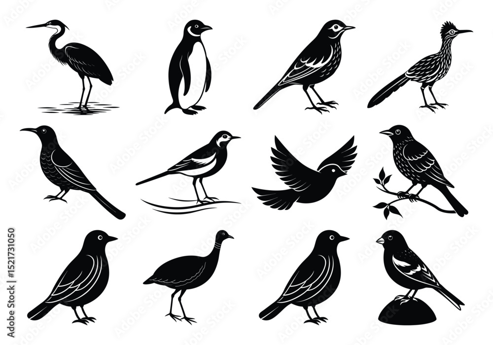 Obraz premium set of birds silhouettes. Flying birds silhouettes on white background