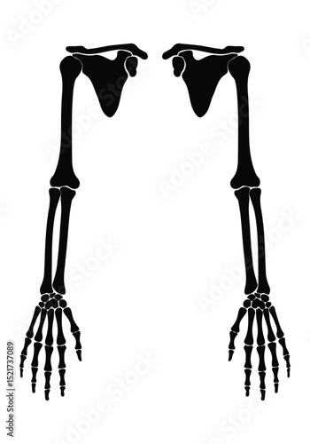 Human shoulder and arm bone skeletal icon in black silhouette style representing anatomy, orthopedics, and medicine