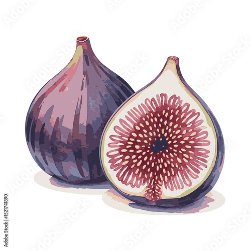 Fresh, ripe purple figs, halved and whole, isolated on a white background