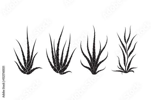 Aloe Vera Plants Silhouette Set