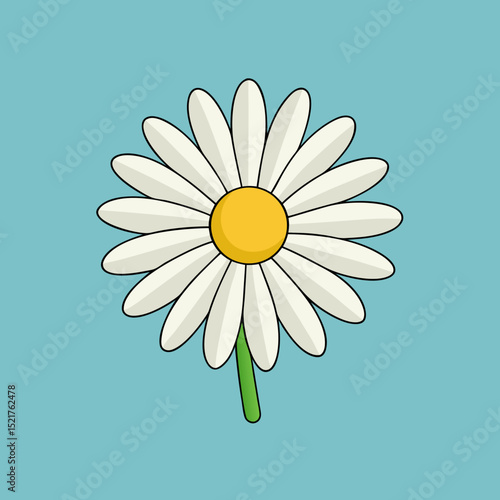 camomile on a blue background