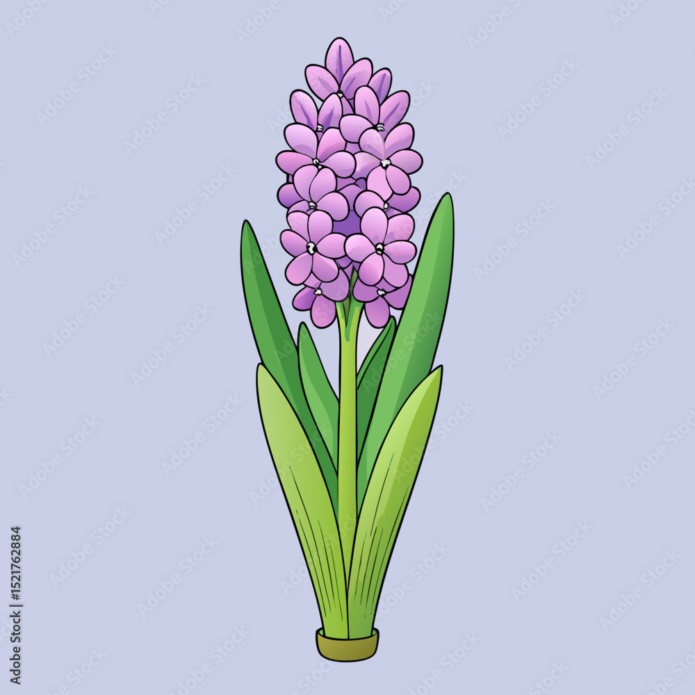 Obraz premium blue hyacinth flower
