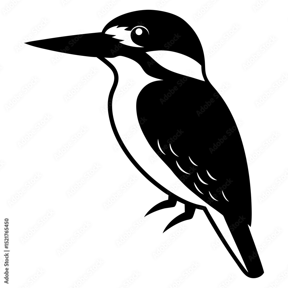 Fototapeta premium bird on a branch