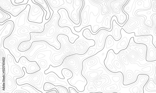 topographic map vector, imaginary landscape , black lines on white background. Topographic map. Vector background. Vector illustration