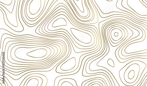 topographic map vector, imaginary landscape , black lines on white background. Topographic map. Vector background. Vector illustration