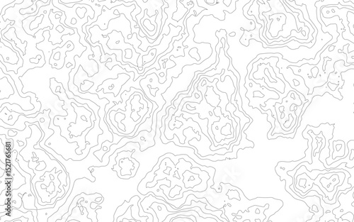 topographic map vector, imaginary landscape , black lines on white background. Topographic map. Vector background. Vector illustration