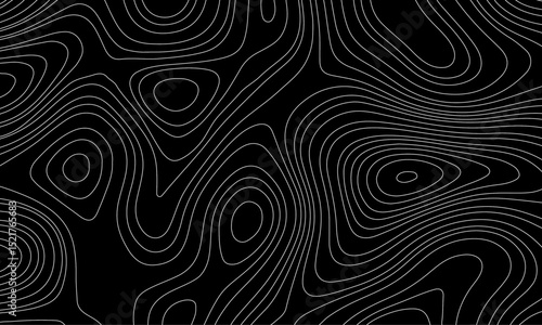topographic map vector, imaginary landscape , black lines on white background. Topographic map. Vector background. Vector illustration