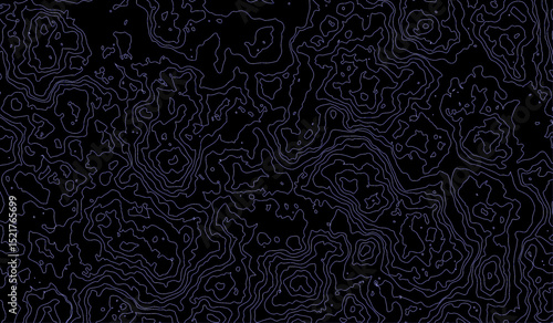 topographic map vector, imaginary landscape , black lines on white background. Topographic map. Vector background. Vector illustration