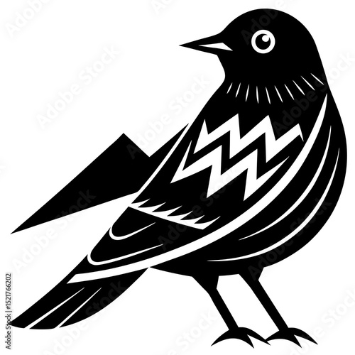 bird on a white background